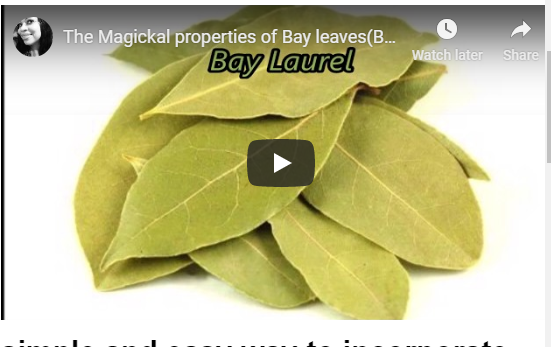 Let's talk about Bay Leaves!