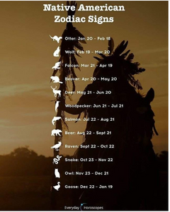 Many of you wanted to know the meaning behind the Native American Zodiac Sign Post!