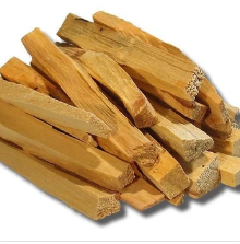 IS PALO SANTO ENDANGERED?