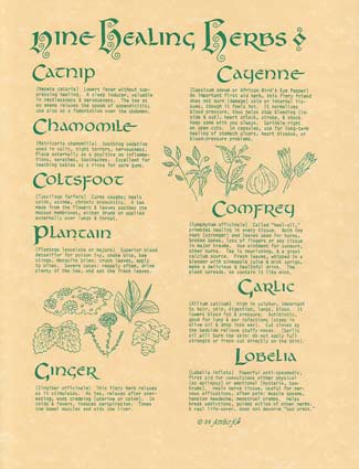 9 Herbs Poster