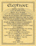 Elephant Prayer Poster