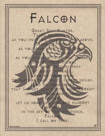 Falcon Prayer Poster