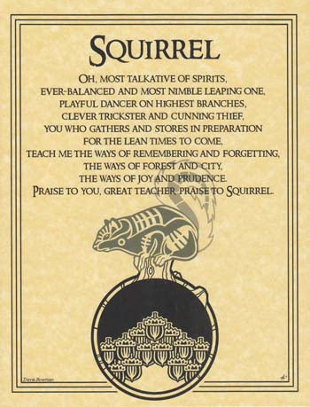 Squirrel Prayer Poster