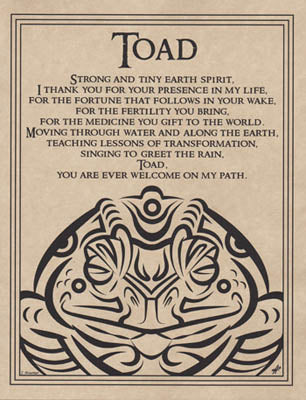 Toad Blessing Poster