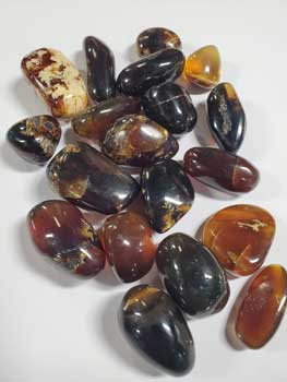 1 Lb Amber, Zebra Tumbled