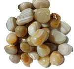 1 Lb Banded Agate Tumbled Stones