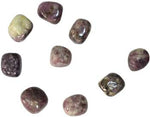 1 Lb Lepidolite Tumbled Stones