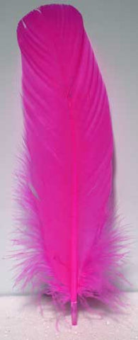 (set Of 10) Pink Feather 12"