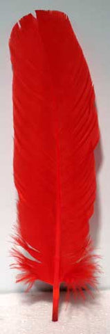 (set Of 10) Red Feather 12"