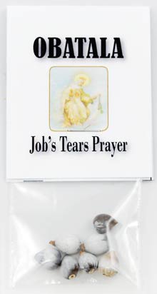 Job's Tears (seeds)