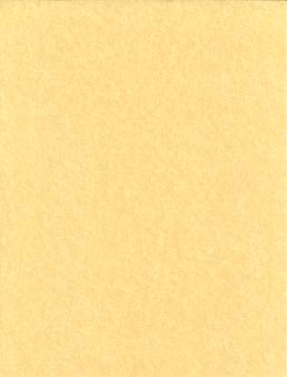 Light Parchment 500 Pack (8 1-2" X 11")