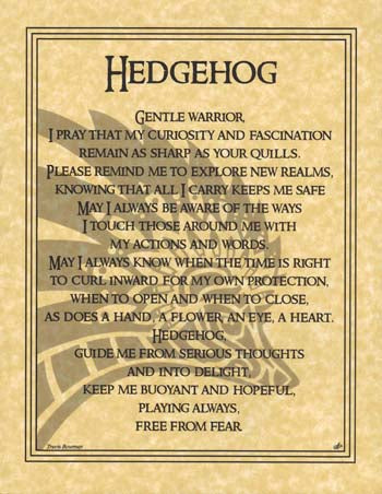 Hedgehog Prayer poster