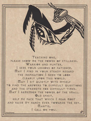 Mantis Prayer poster